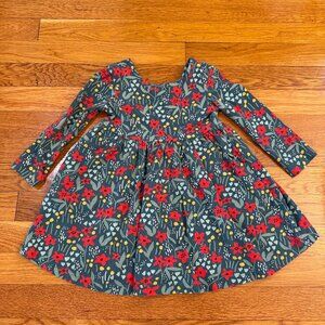 Hanna Andersson Long-Sleeve Skater Dress Green with Red Floral Print - Size 2T